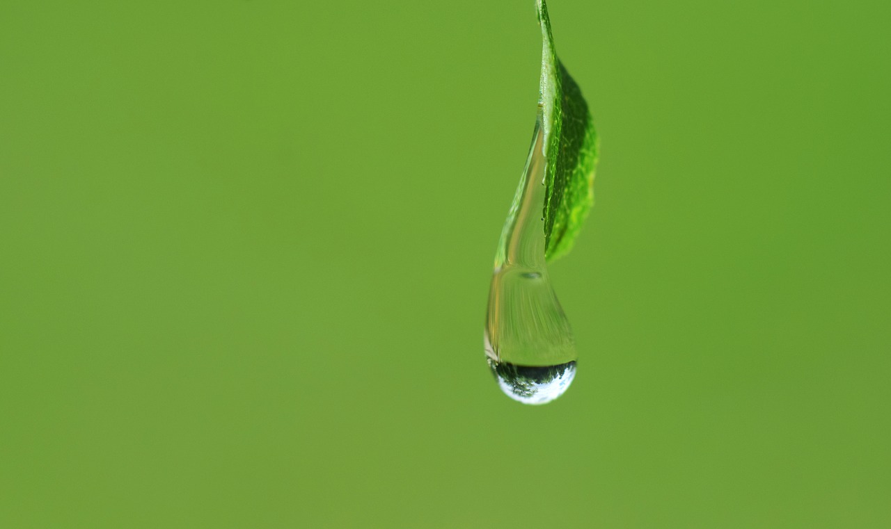 drip close drop of water free photo