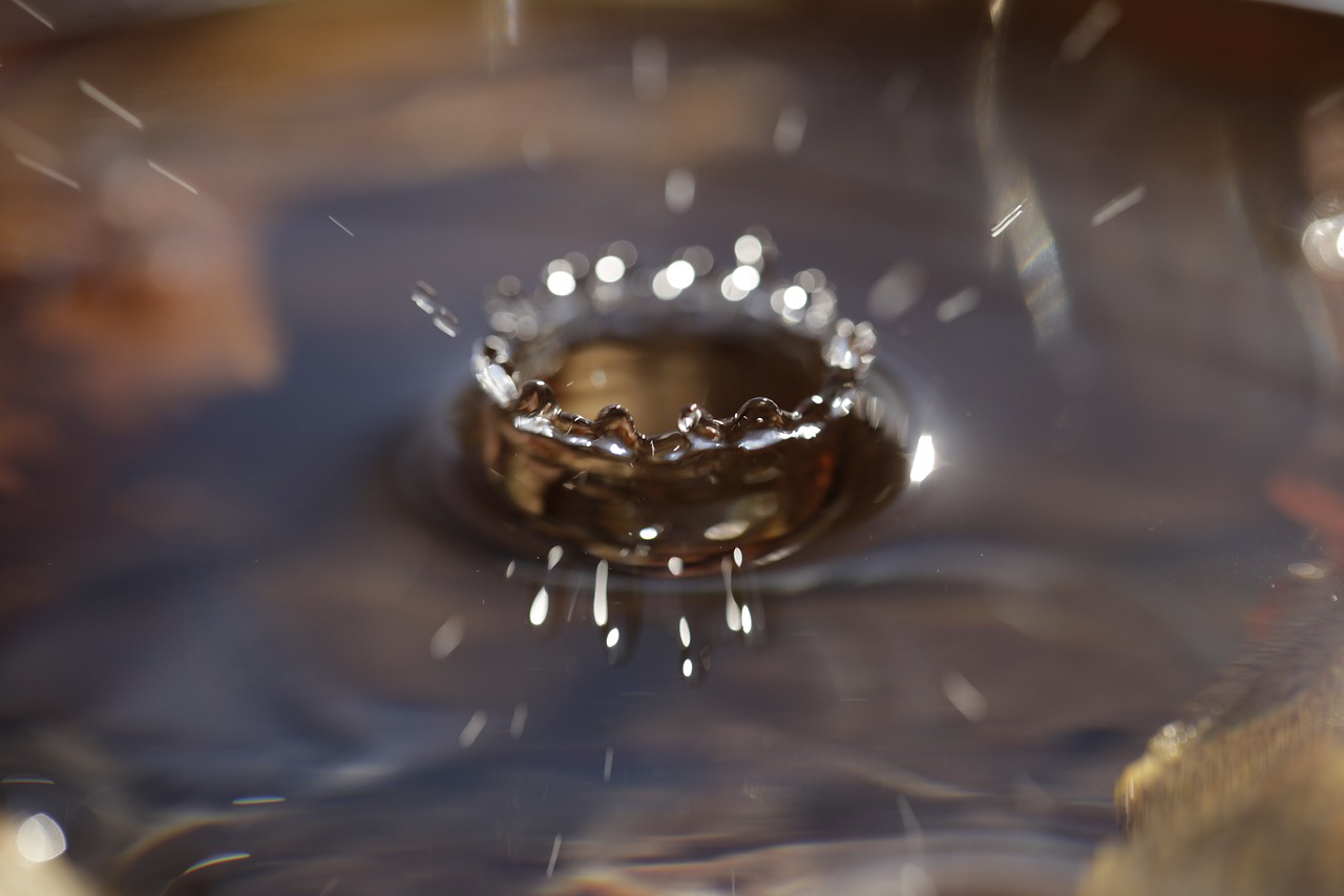 drip drops closeup drop of water free photo