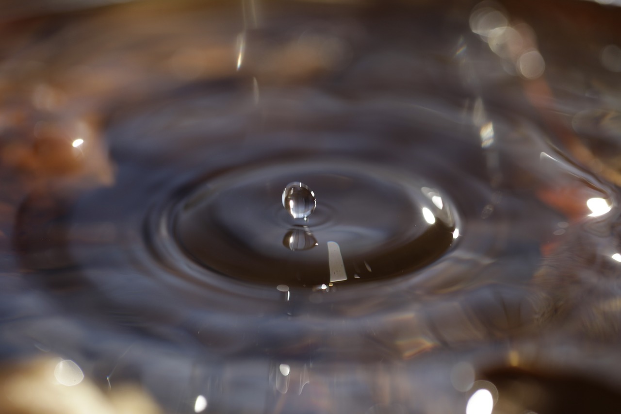 drip drops closeup drop of water free photo