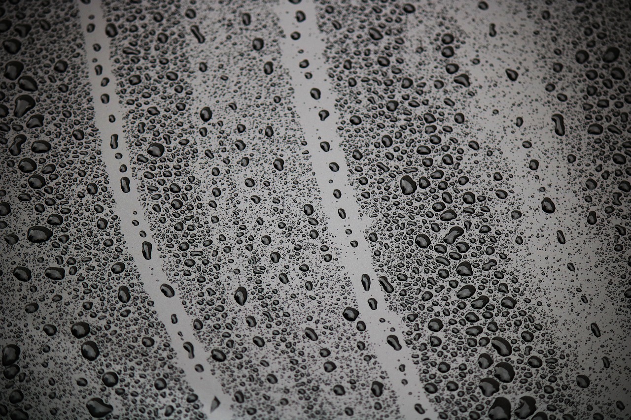drip wet drop of water free photo