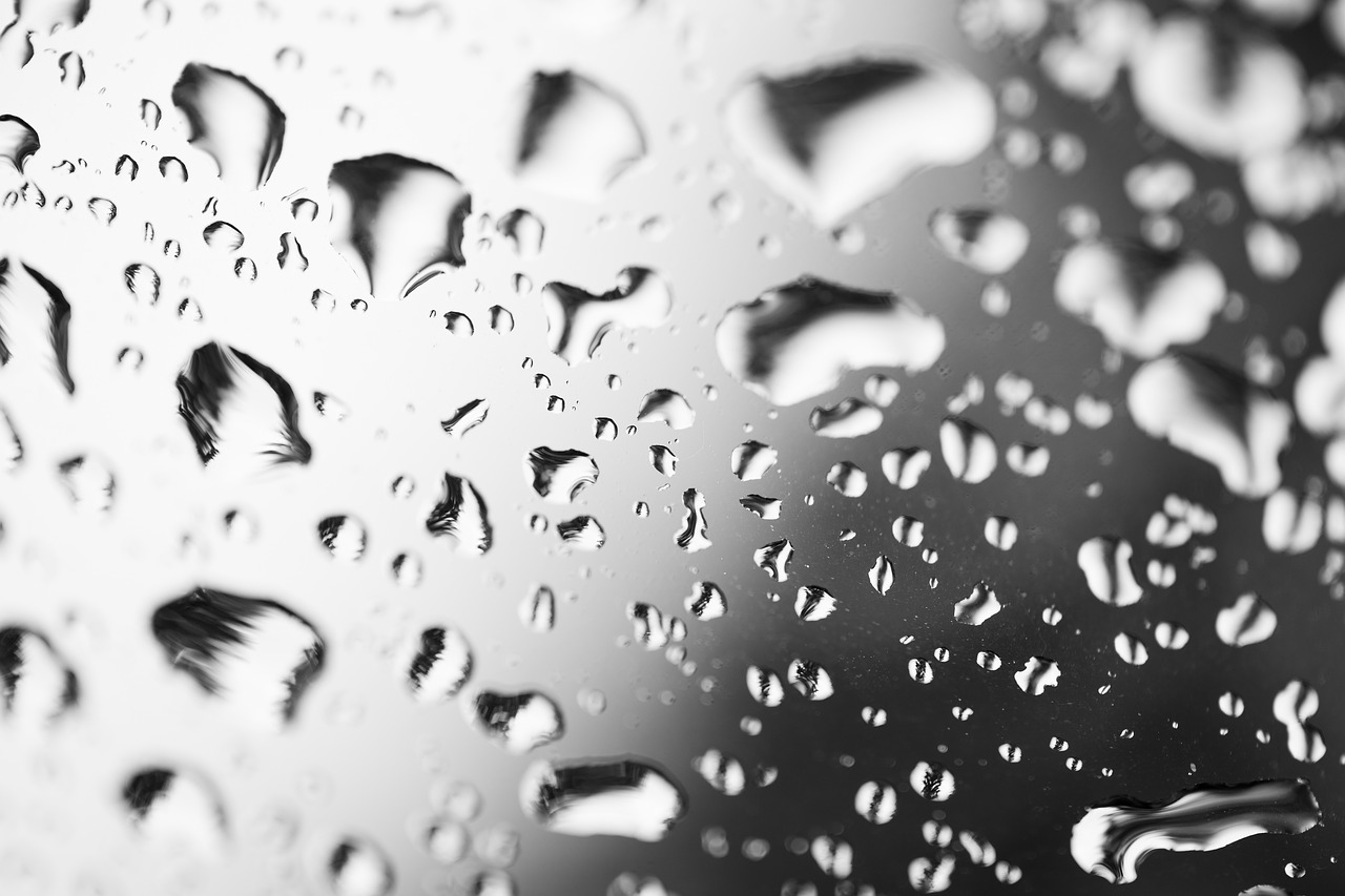 drip  raindrop  water free photo