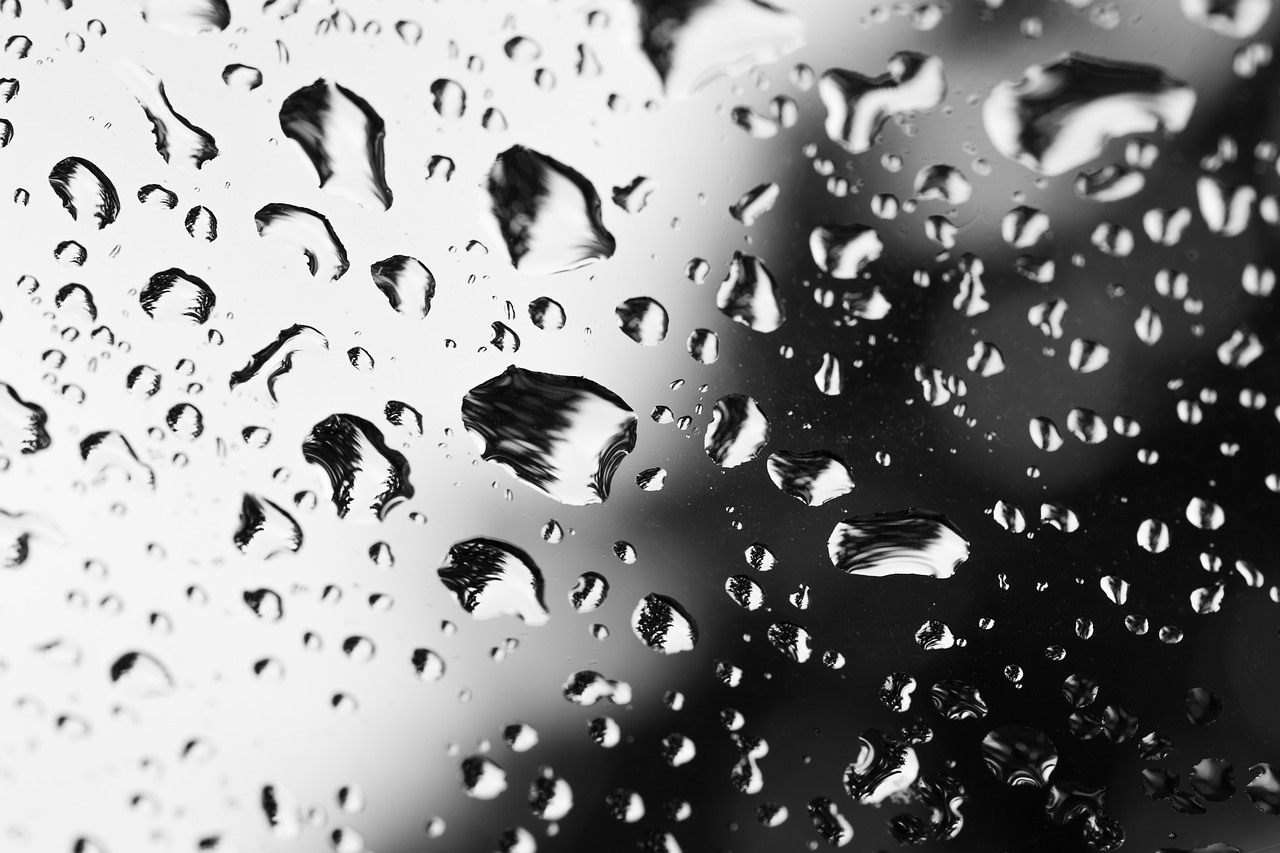 drip  raindrop  water free photo
