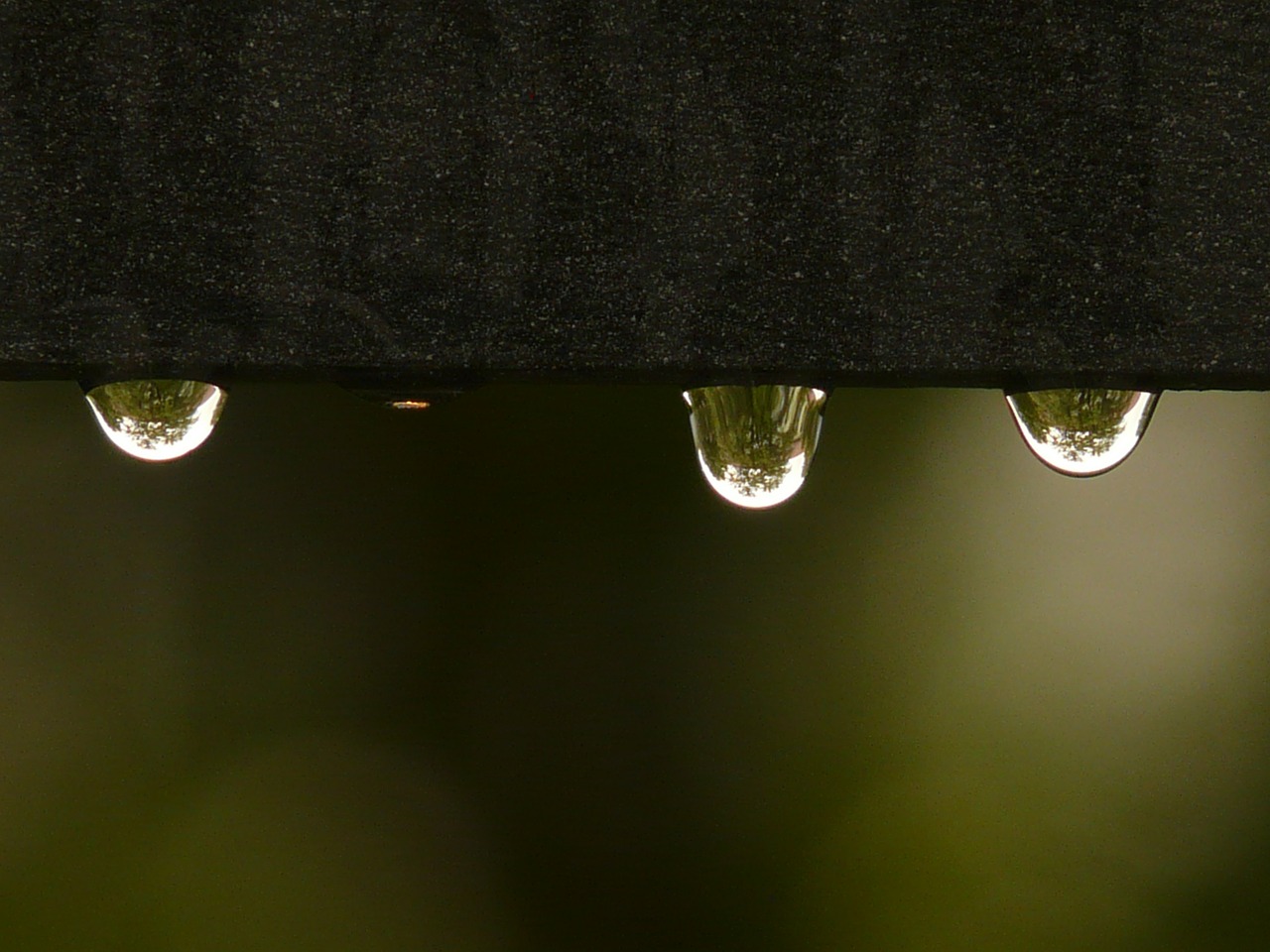 drip raindrop water free photo