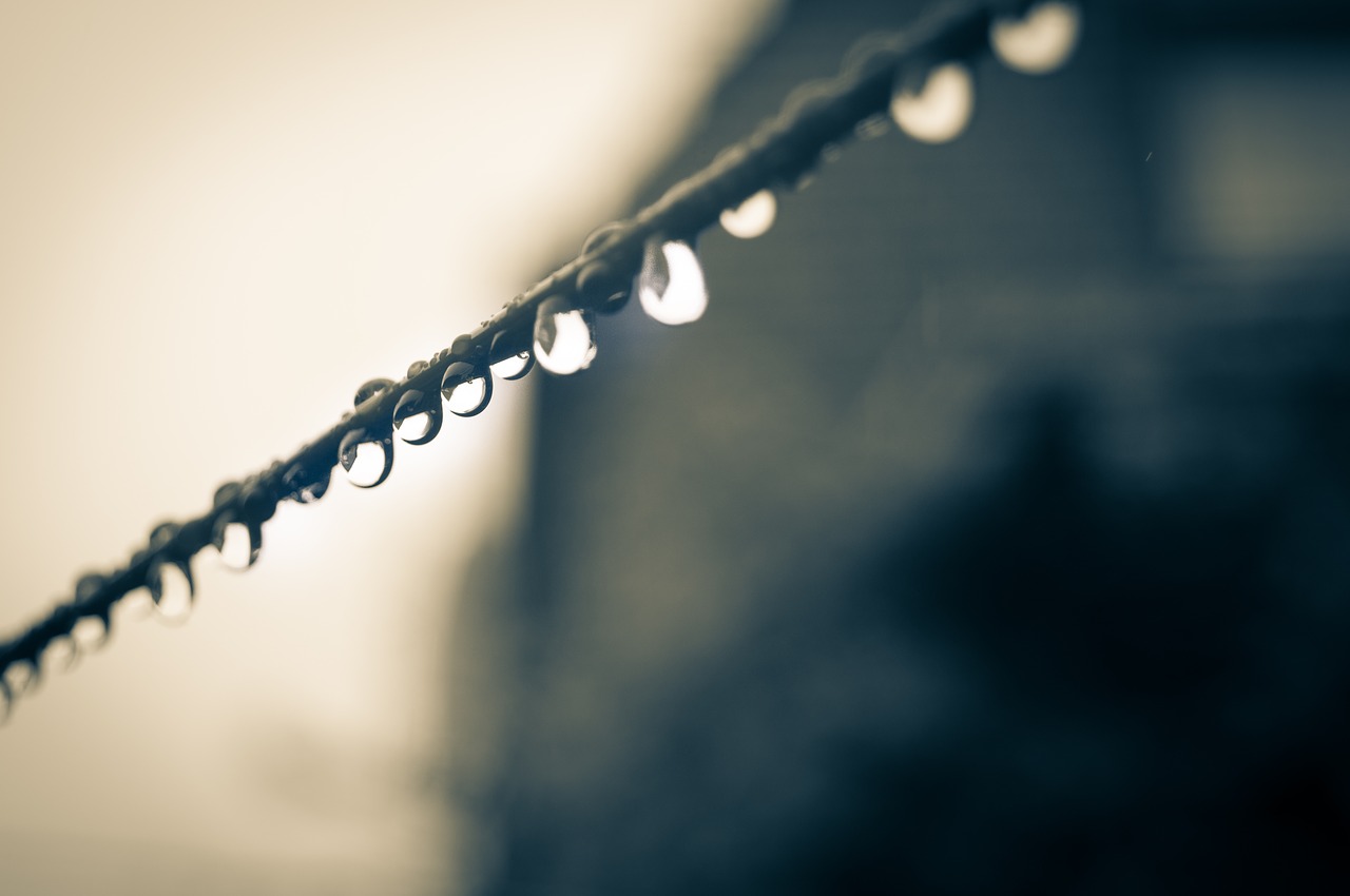 dripping water dripping clothes line free photo