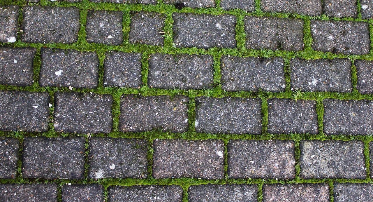 driveway  brick  stone free photo