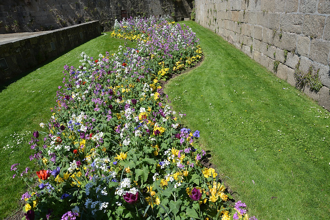 driveways flowers park free photo