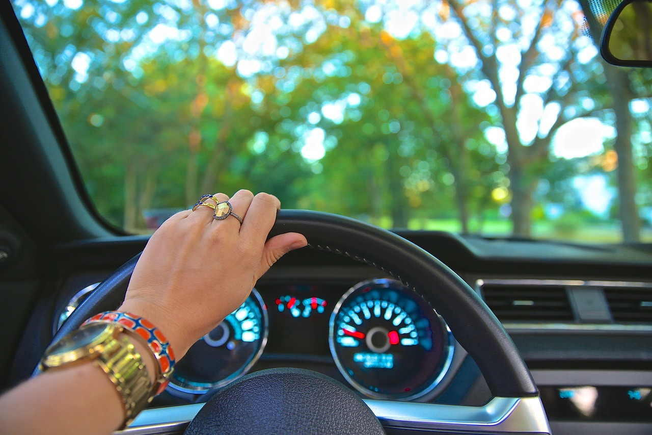 driving steering wheel car free photo