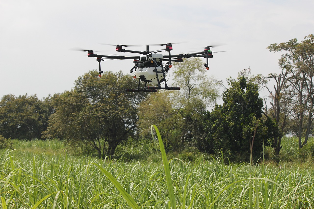 drone fumigation agriculture free photo