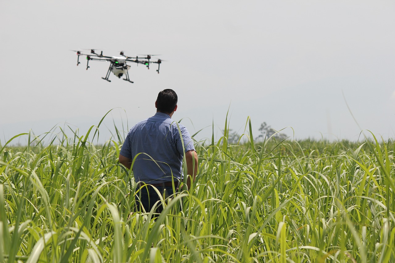 drone precision agriculture crops free photo