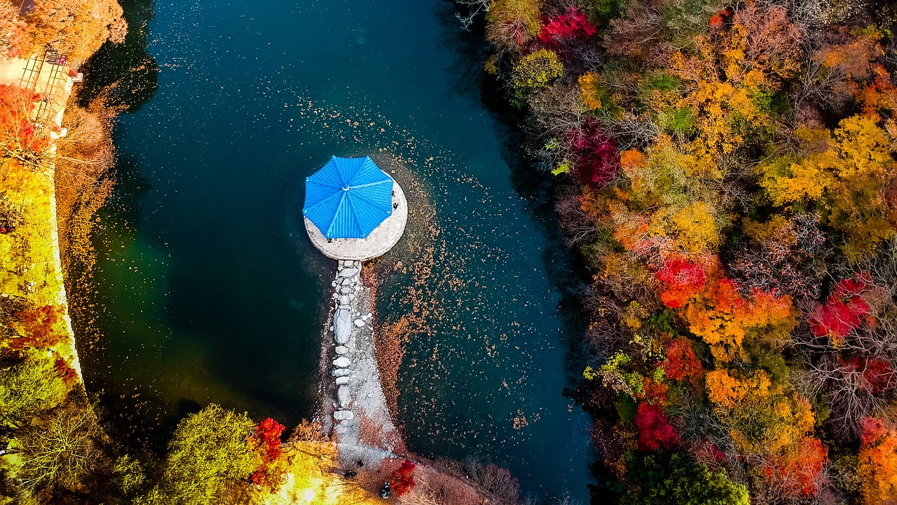 drone  autumn  nature free photo