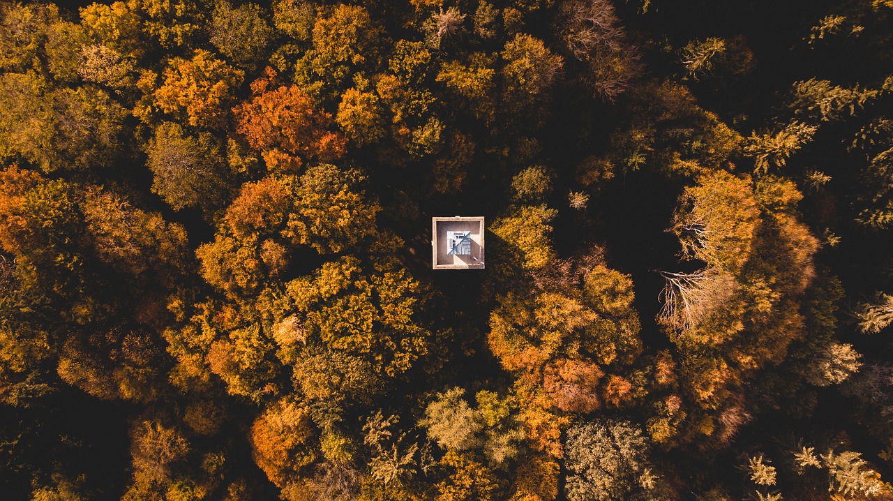 drone  forest  mountain free photo