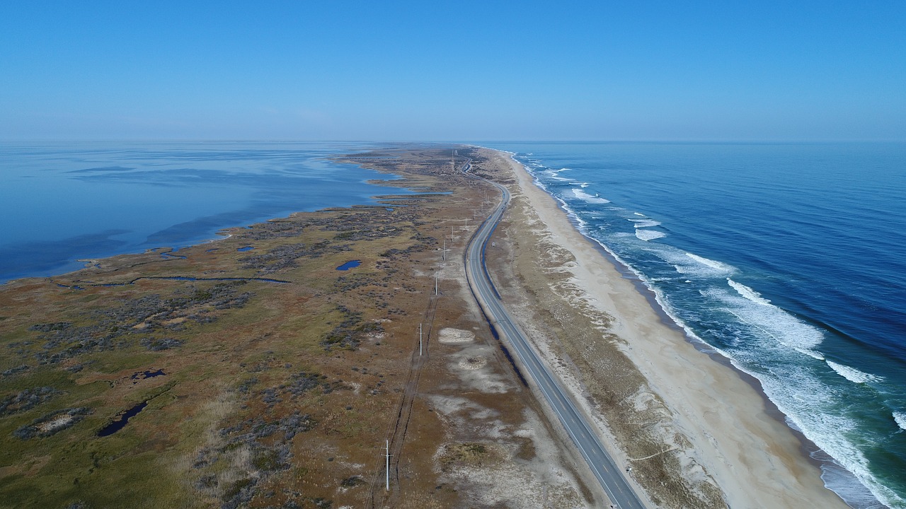 drone  aerial  beach free photo