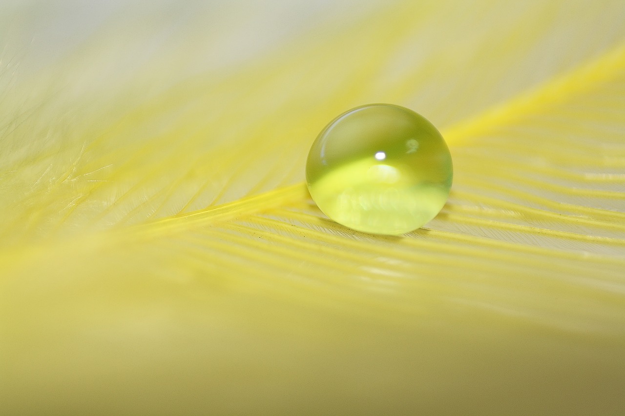 drop droplet feather free photo