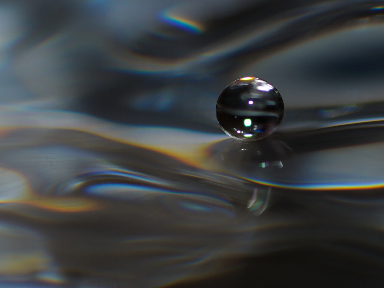 drop water grey free photo