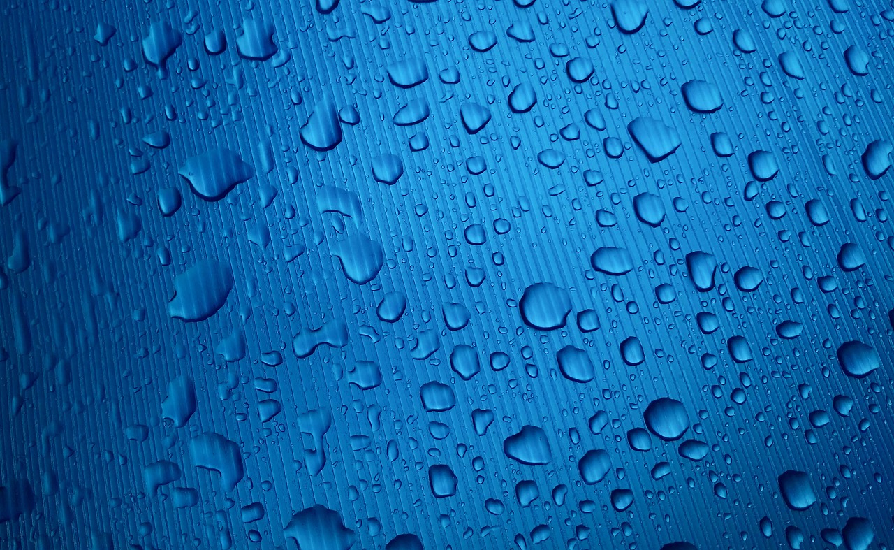 drop rain raindrops free photo