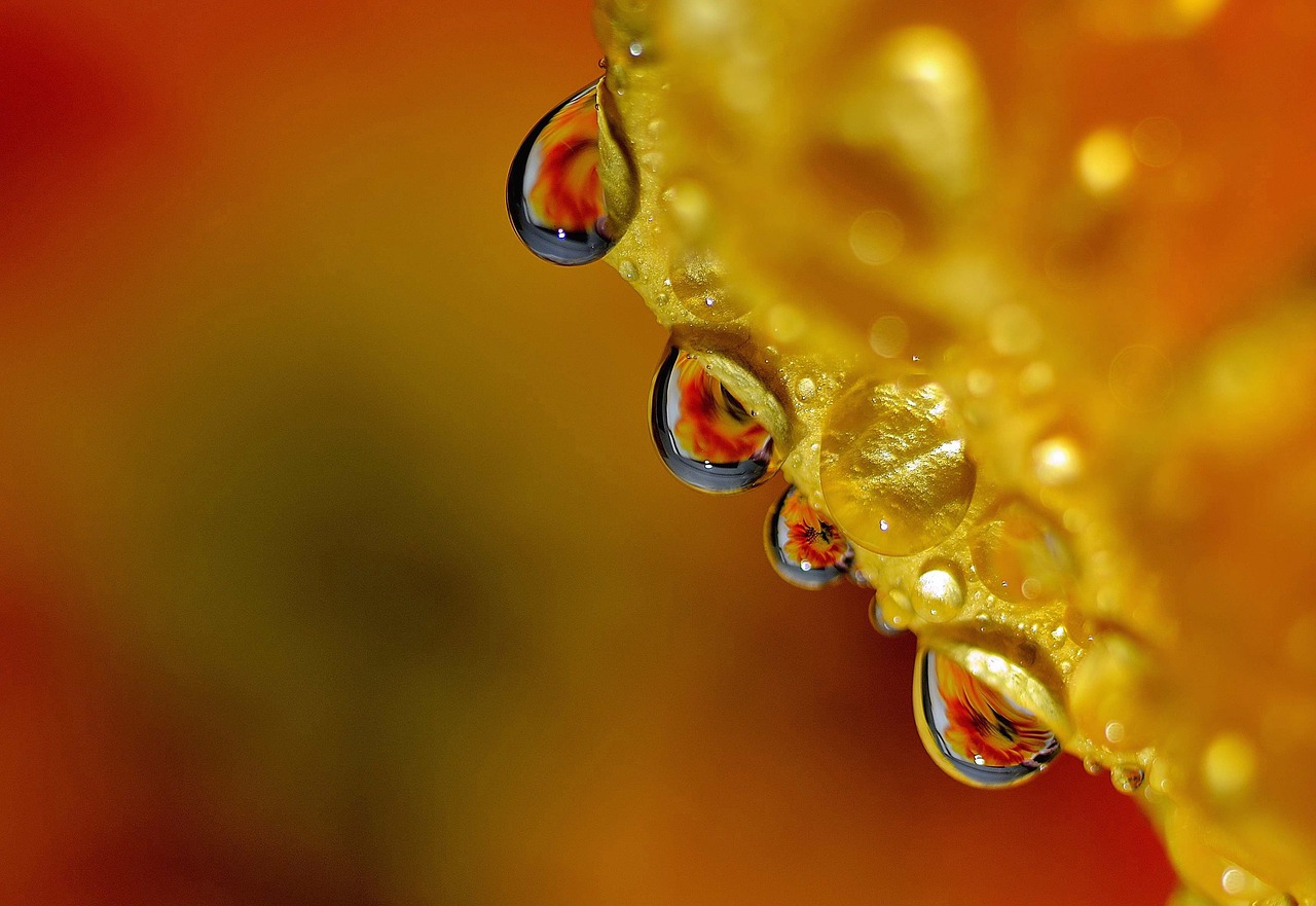 drop droplets high speed photography free photo