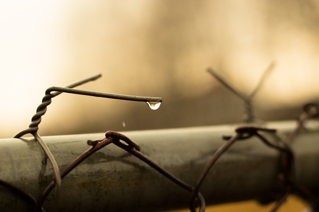 drop  fence  drops free photo