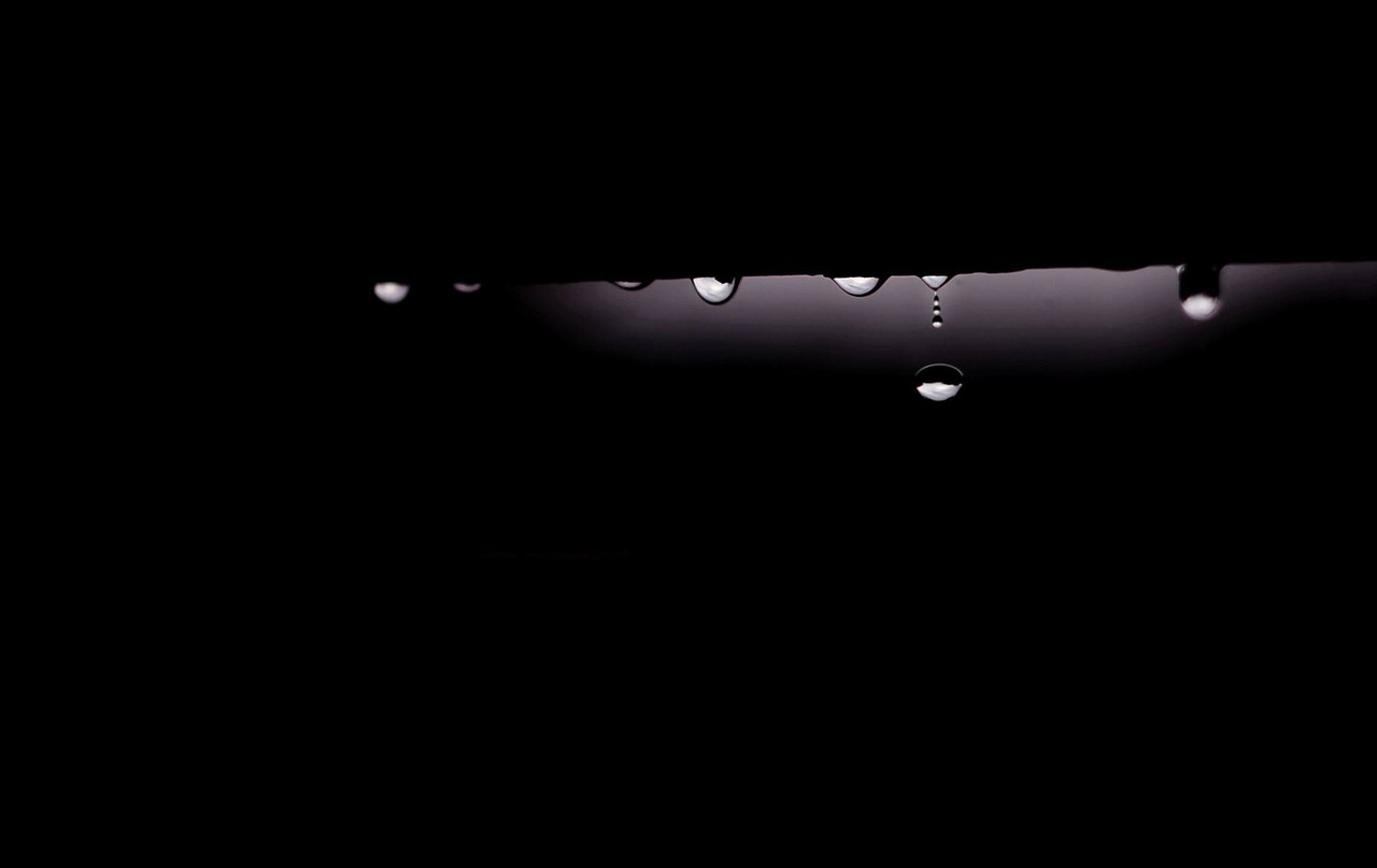 drop  dark  rain free photo