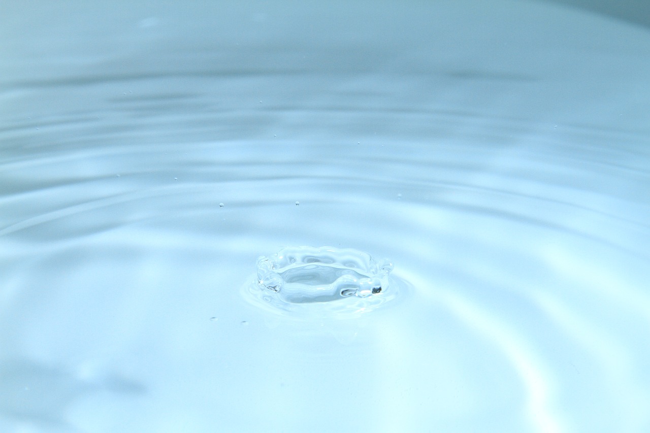 drop water macro free photo