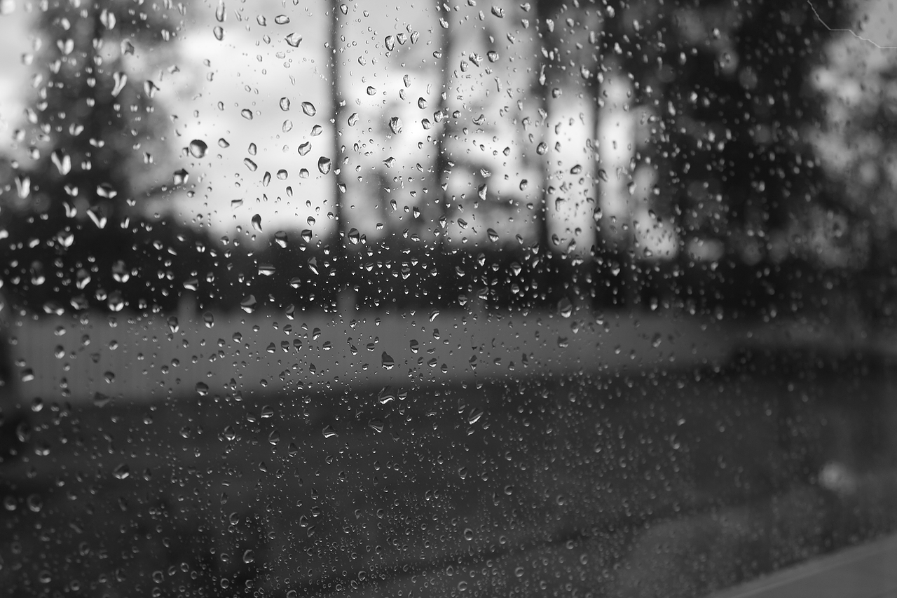 drop rain spring free photo