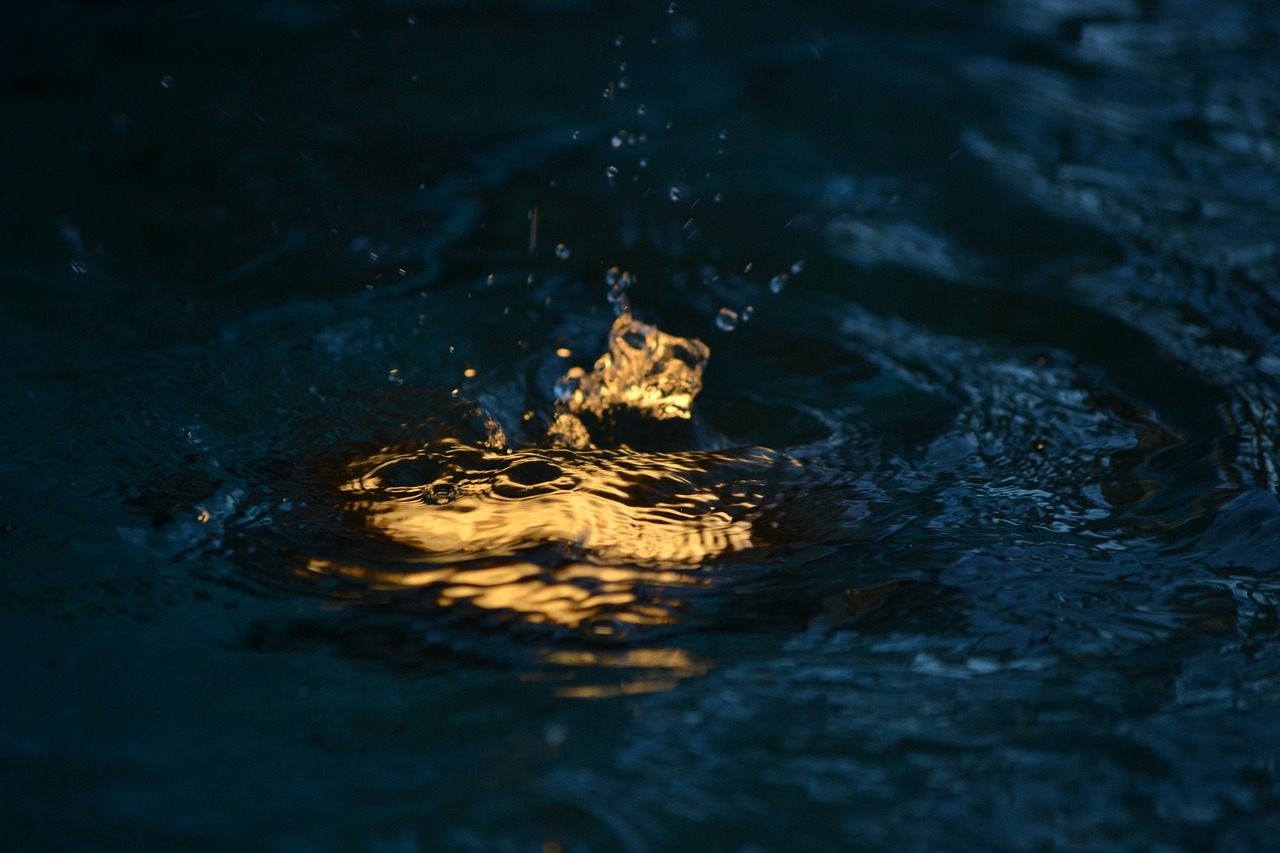 drop water dusk free photo