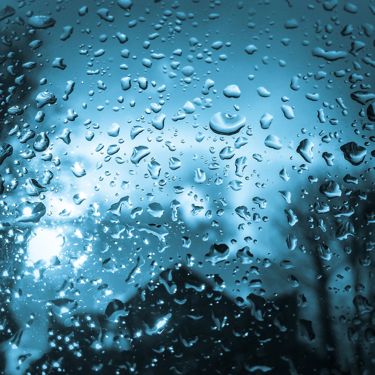 drop of water rain raindrop free photo