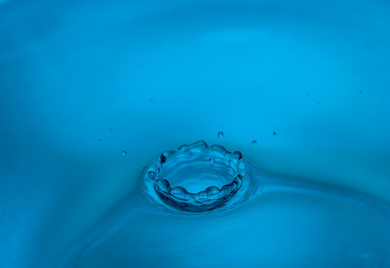drop of water splash macro free photo