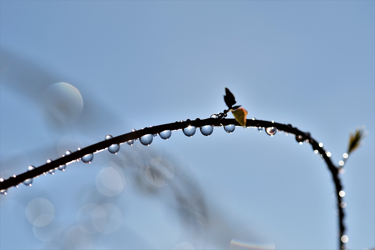 drop of water raindrop rain free photo