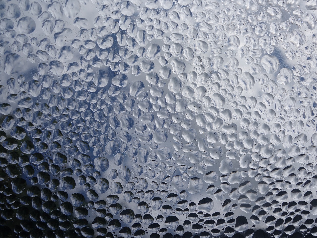 drop of water condensation pattern free photo