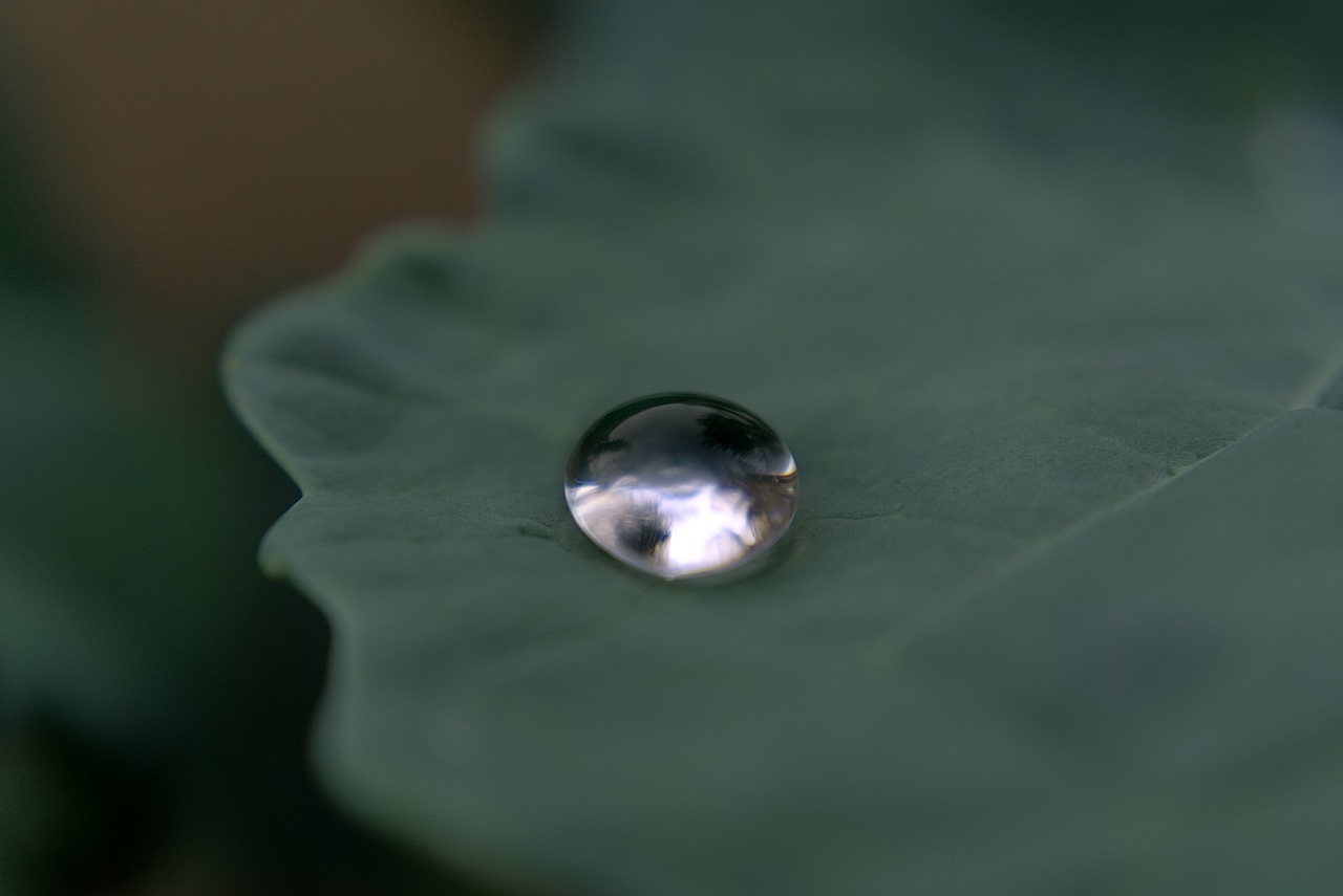 drop of water drip reflection free photo