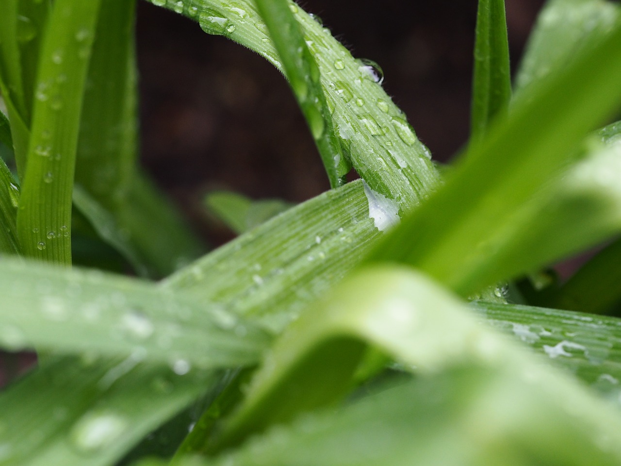 drop of water reflection drip free photo