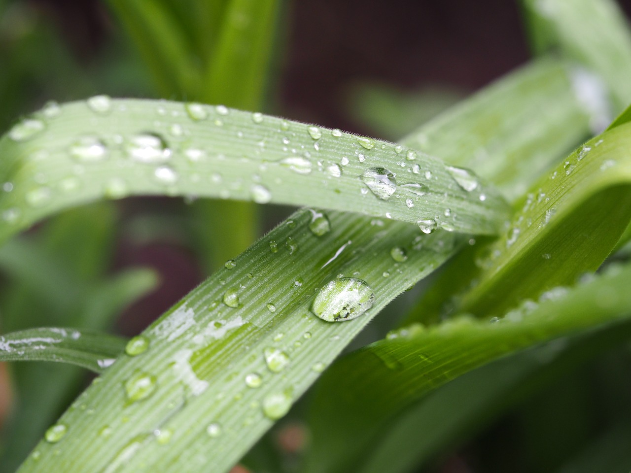 drop of water reflection drip free photo