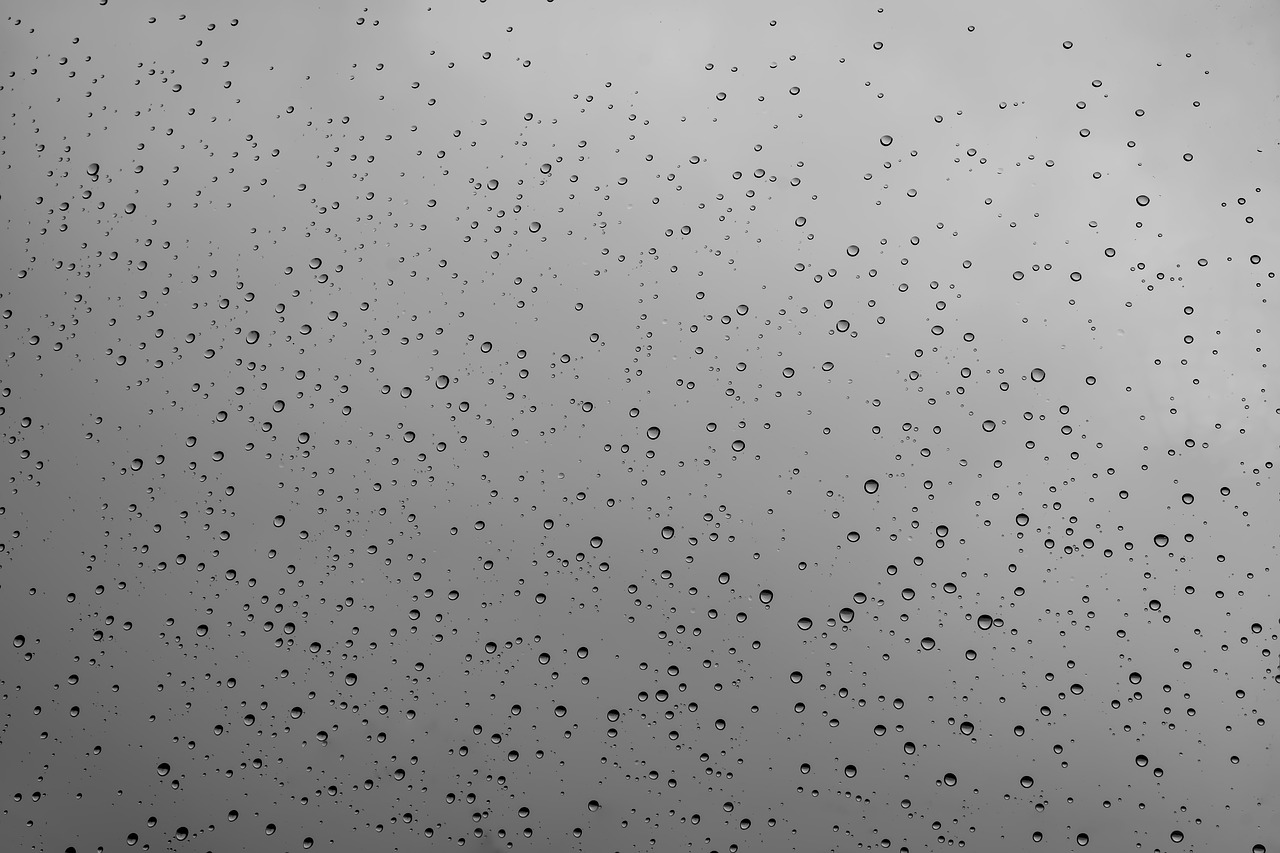 drop of water disc rain free photo