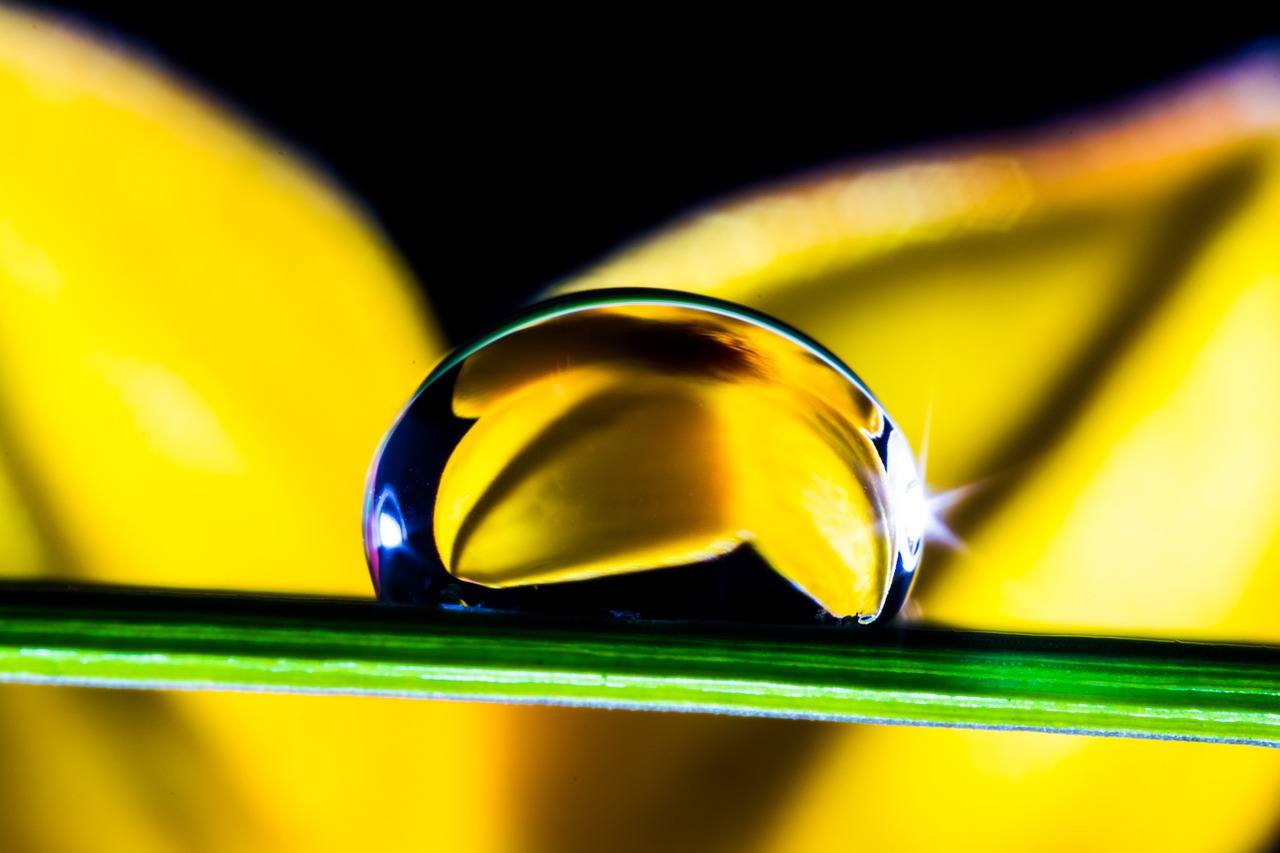 drop of water drip blade of grass free photo