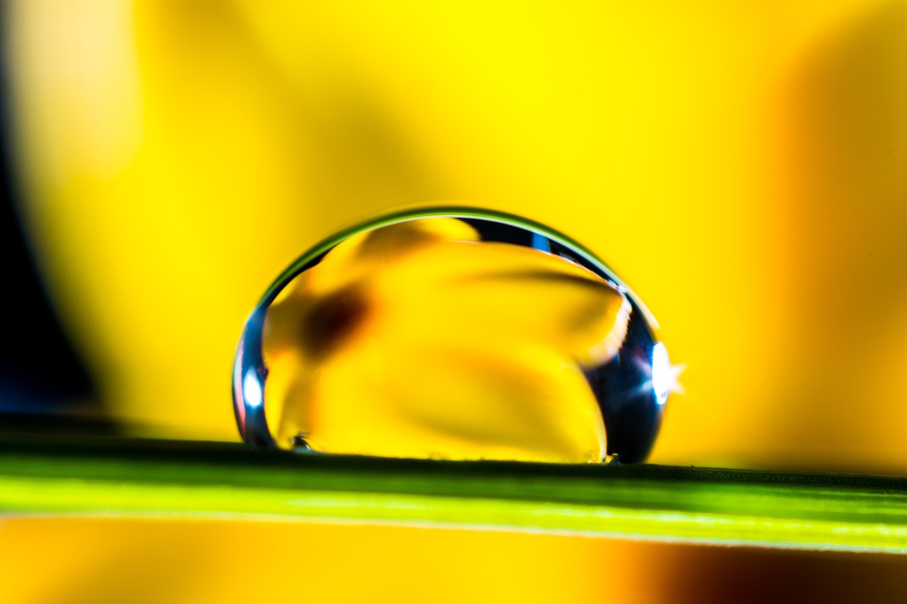 drop of water drip blade of grass free photo