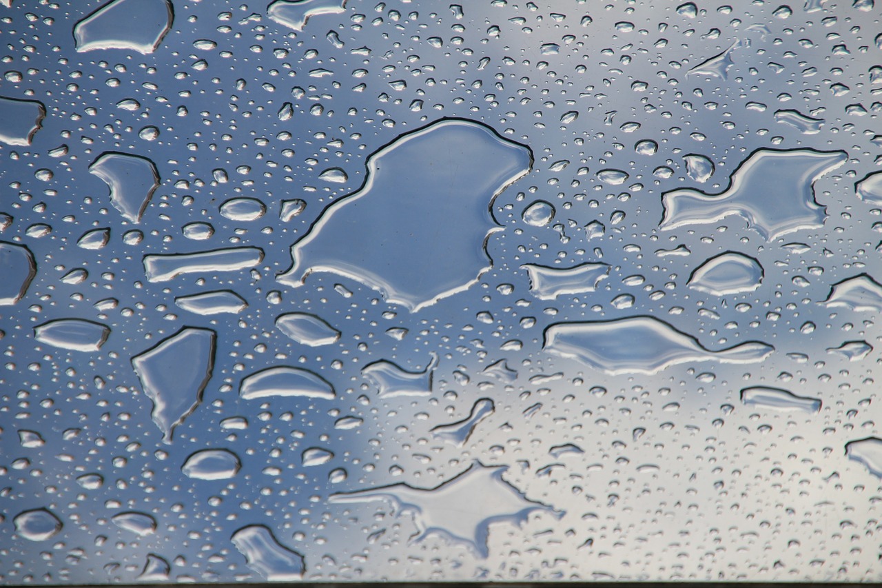 drop of water raindrop drip free photo