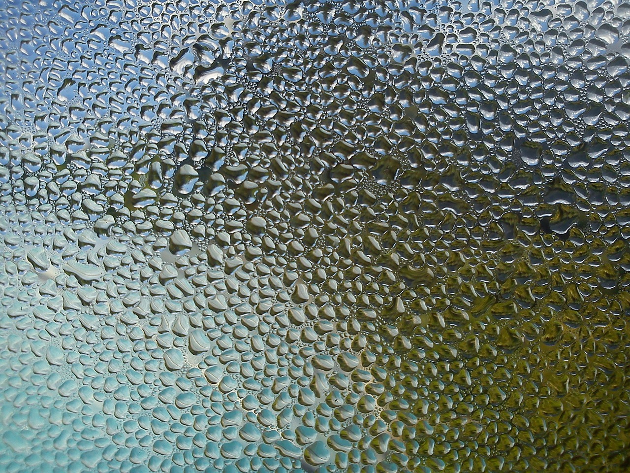 drop of water condensation pattern free photo