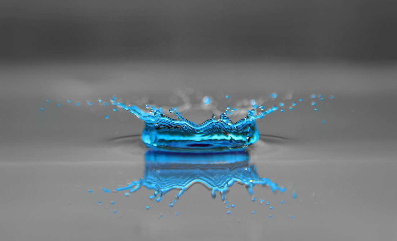 drop of water drip raindrop free photo