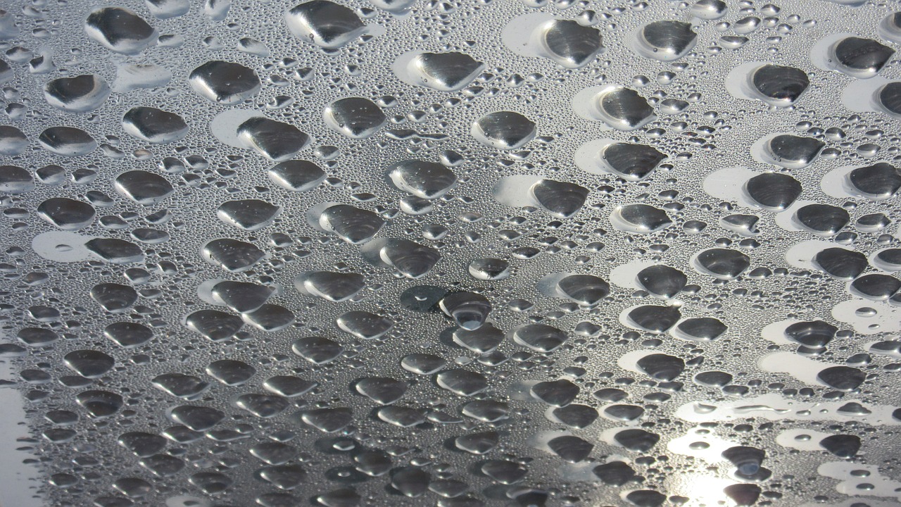 drop of water condensation wet free photo