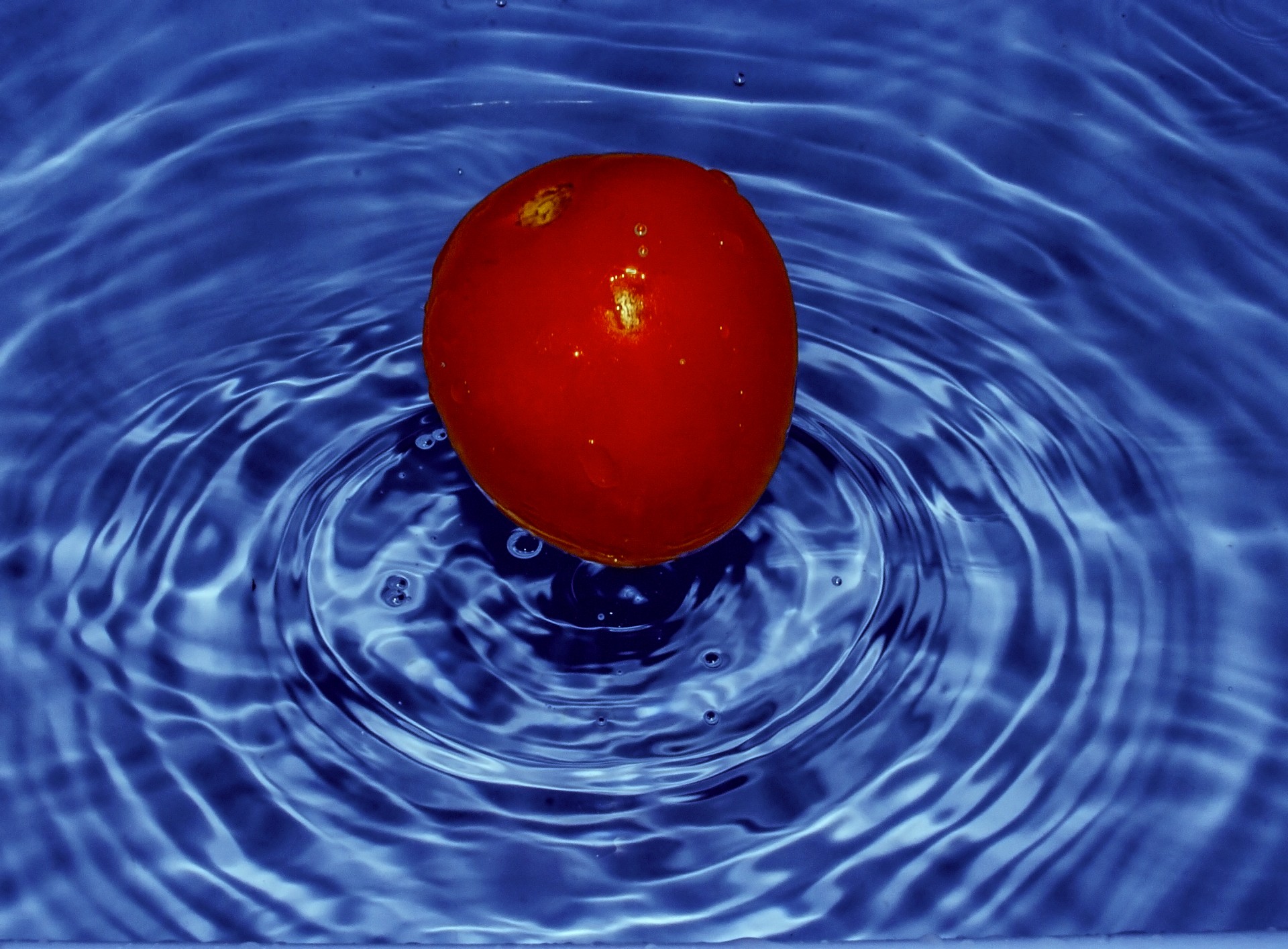 tomato water splash free photo