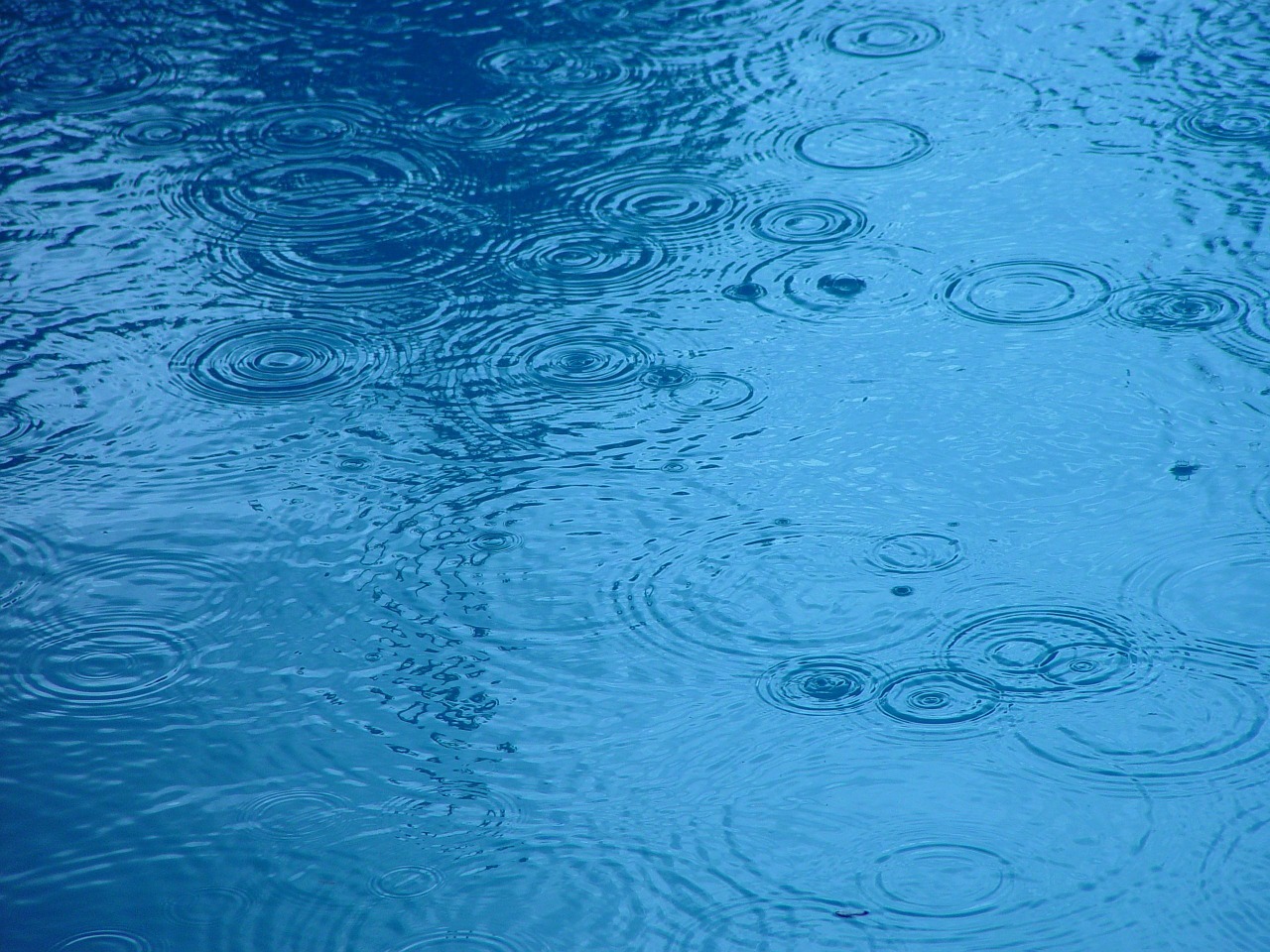 droplets rain landscapes free photo