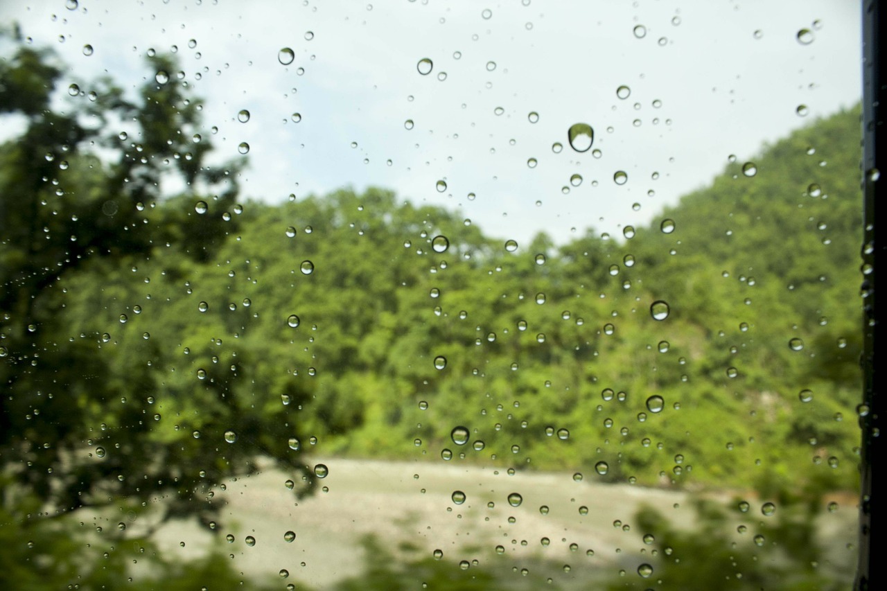 droplets water leaf free photo