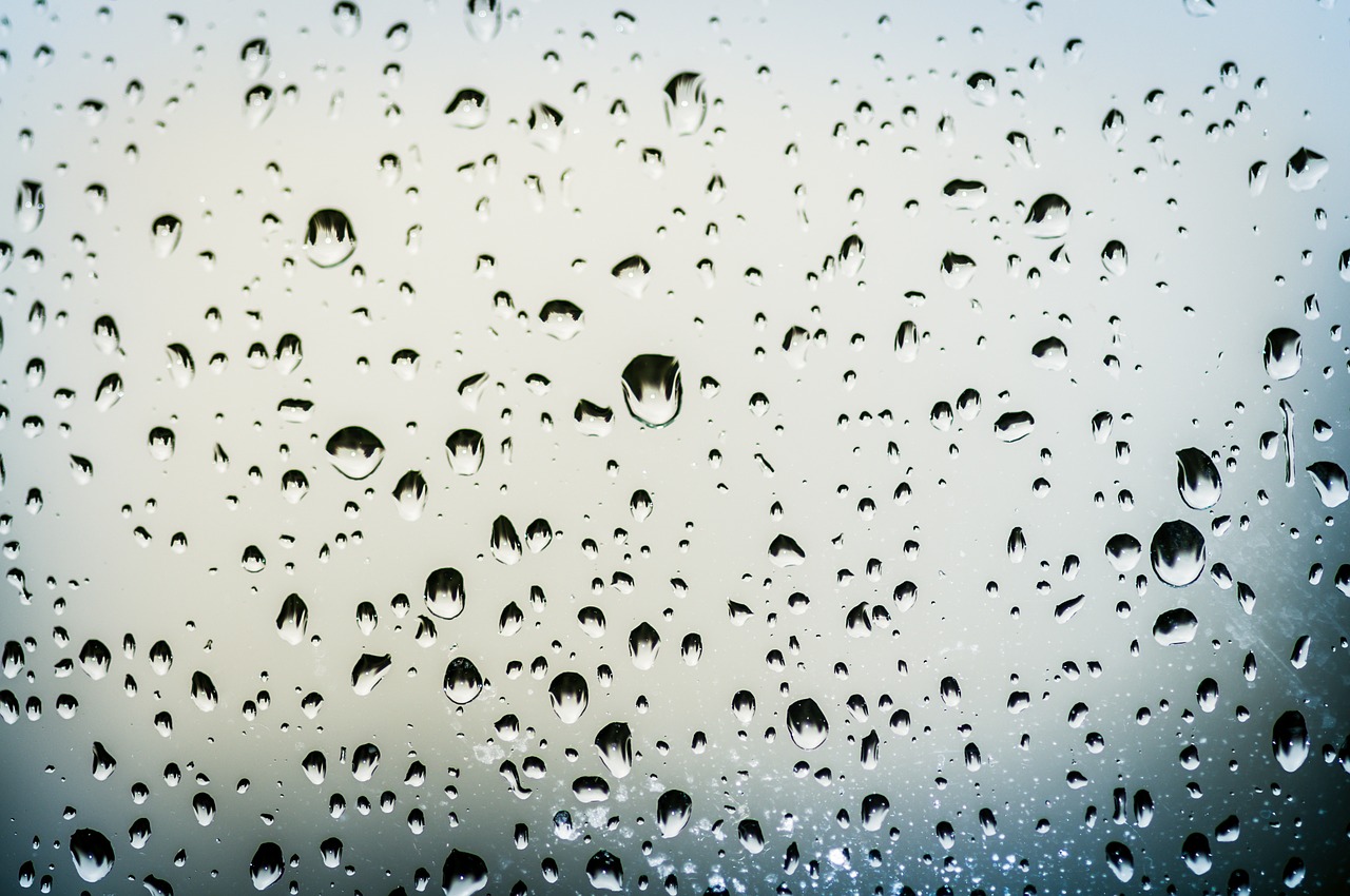 drops rain window free photo