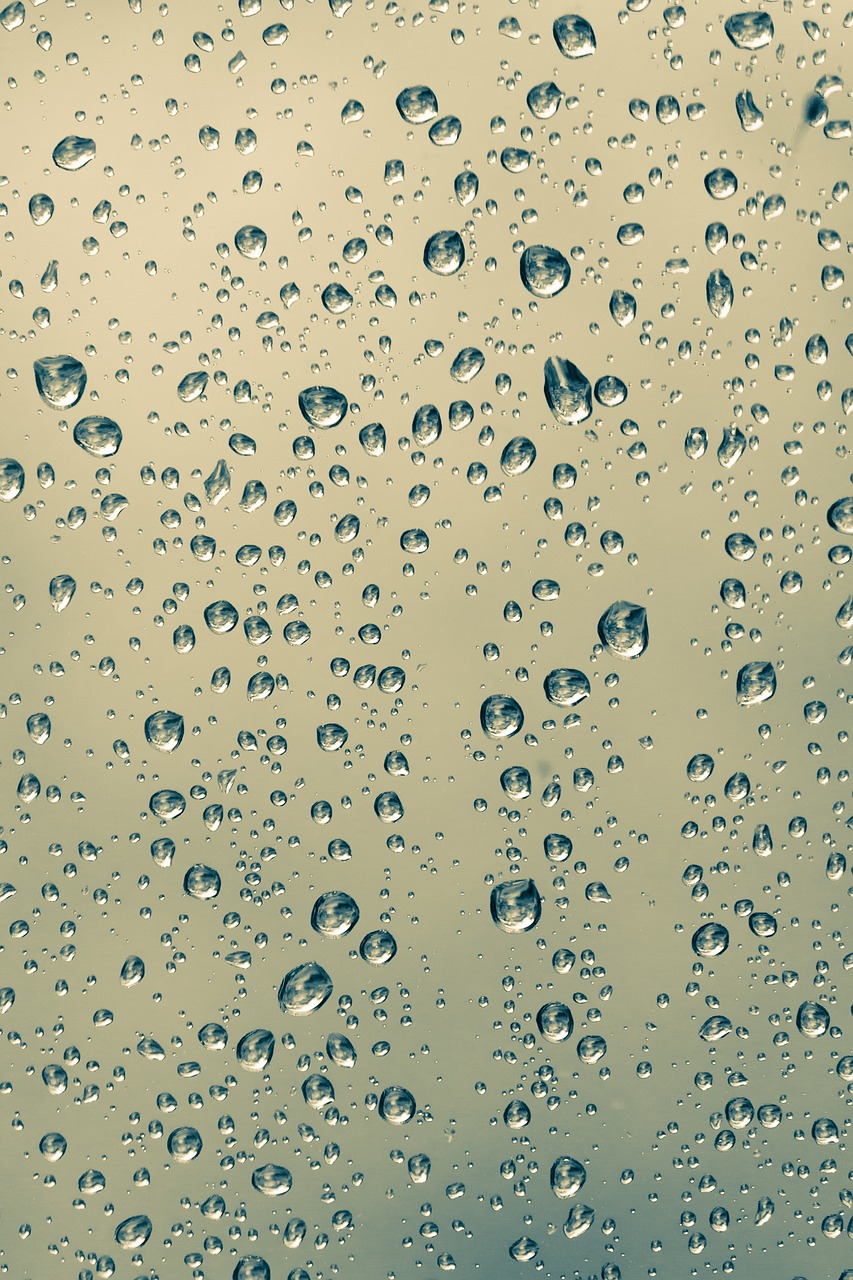 drops rain drops of water free photo