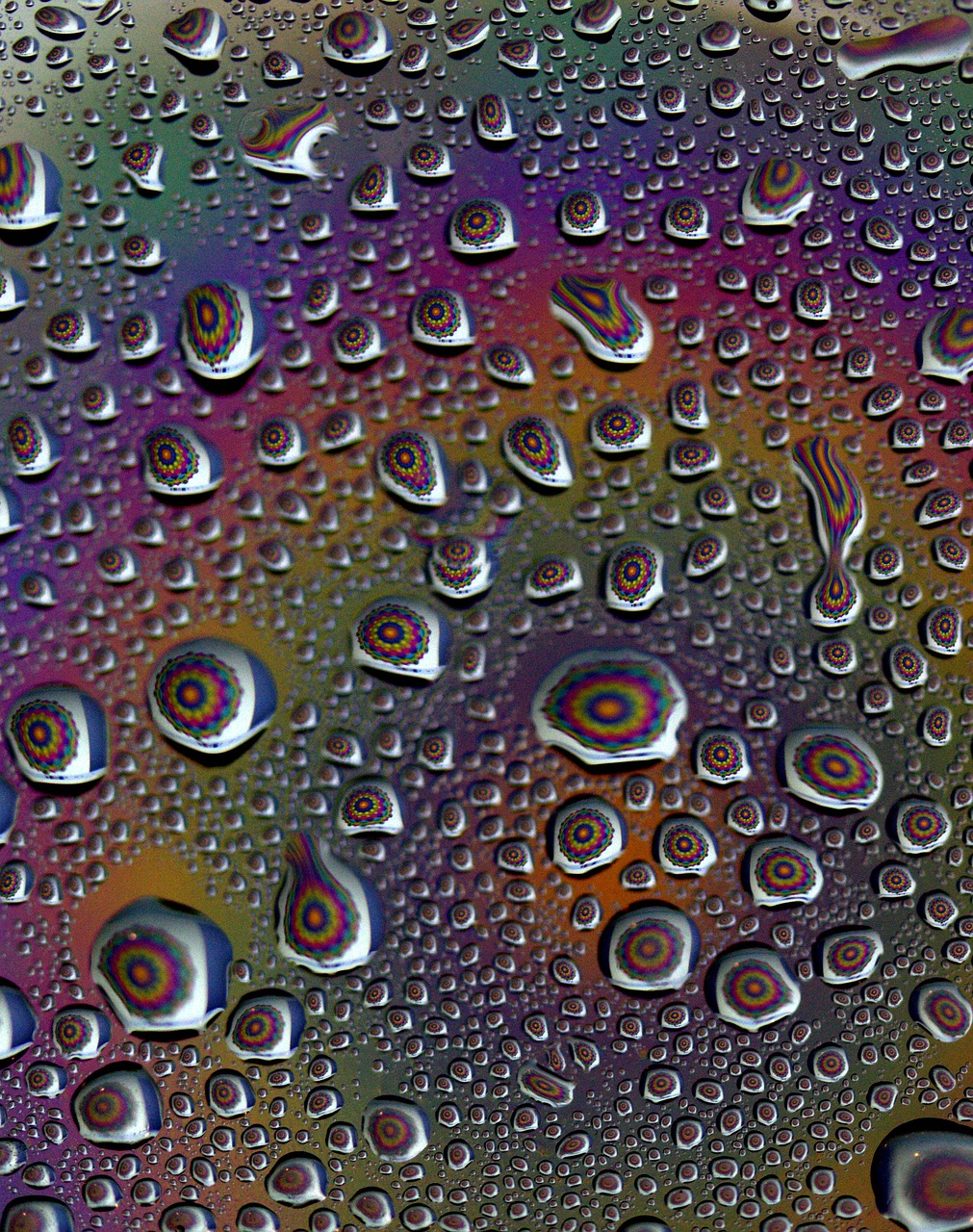 drops reflection water free photo