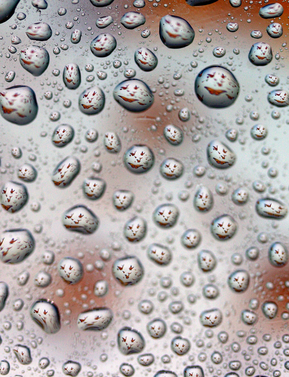 drops reflection water free photo