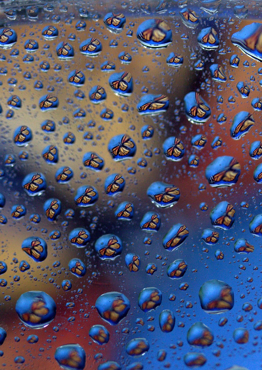 drops reflection water free photo