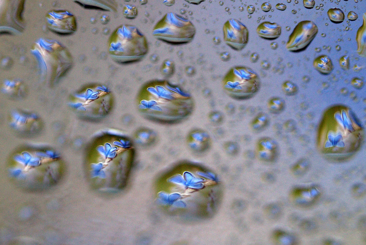 drops reflection water free photo