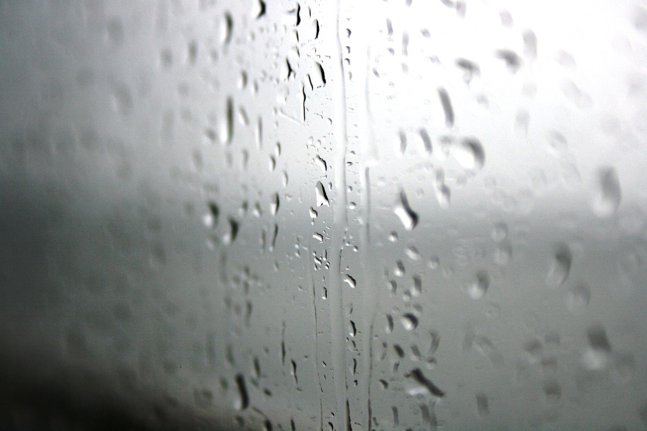 drops rain glass free photo