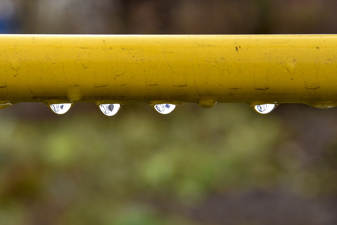 drops  rain  trumpet free photo